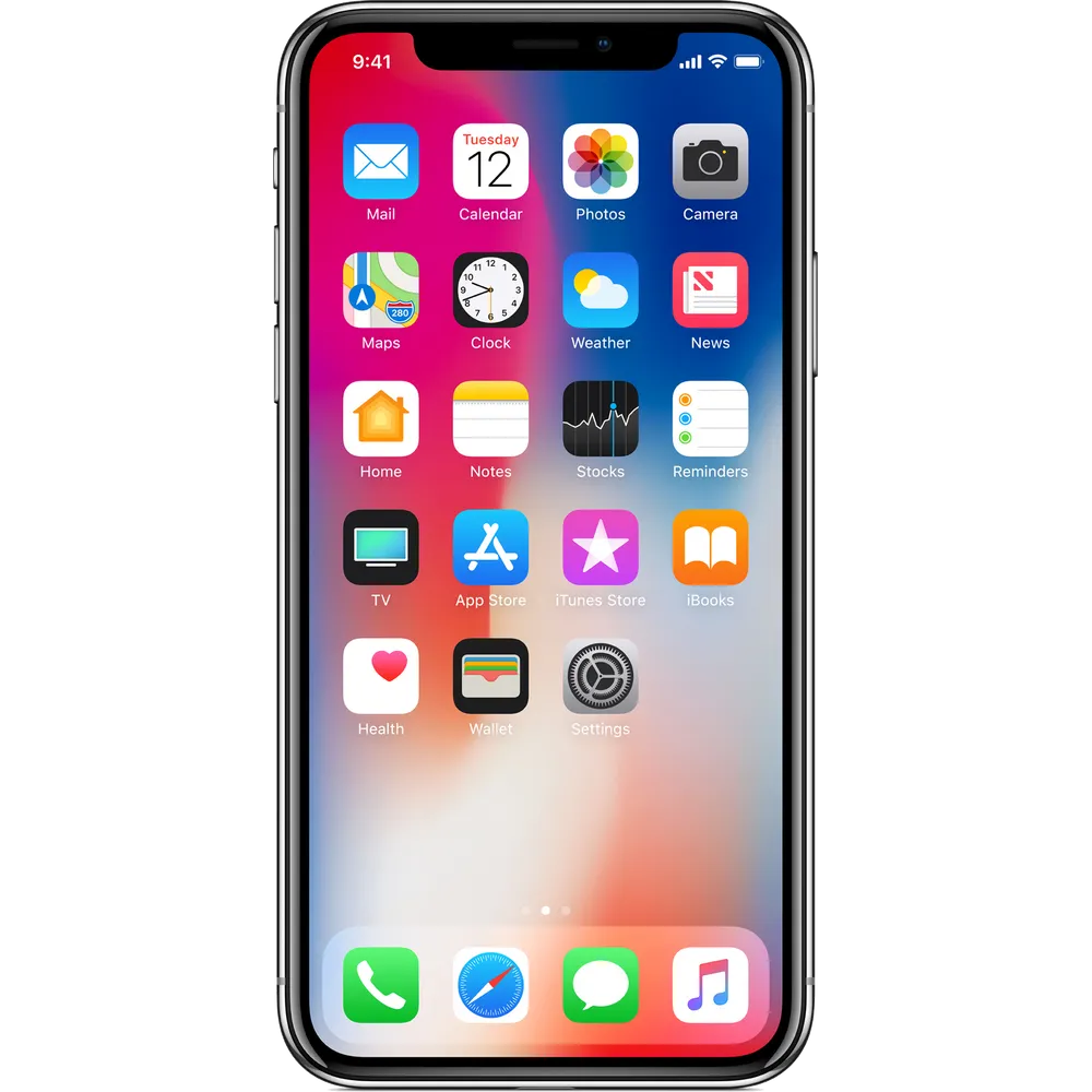 iPhone X